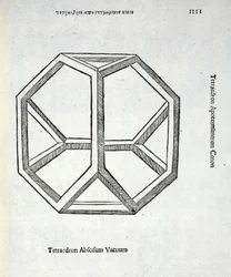 Tetraedron abscisum vacuum, illustration from 